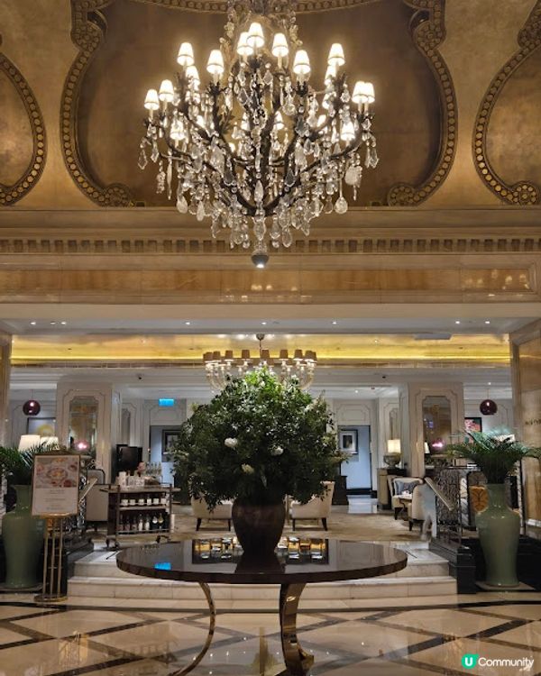 Palm Court - 朗廷下午茶