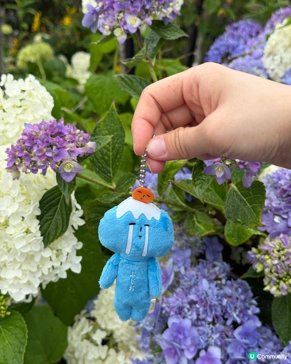 賞花之遊