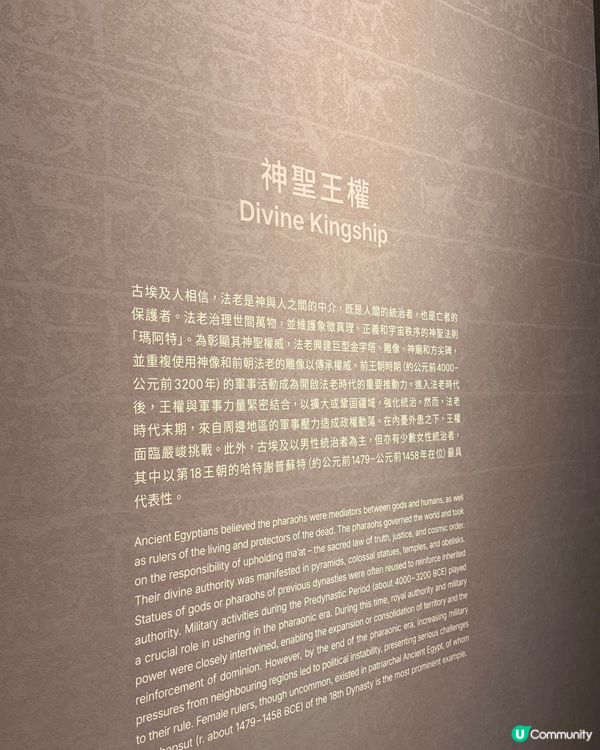 【捉緊埃及的尾巴🇪🇬體質敏感人士注意‼️】