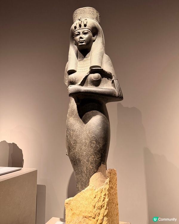 【捉緊埃及的尾巴🇪🇬體質敏感人士注意‼️】