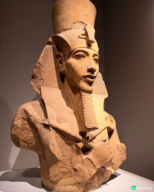 【捉緊埃及的尾巴🇪🇬體質敏感人士注意‼️】