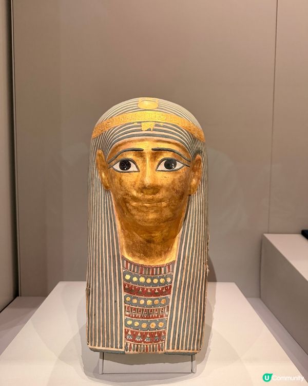 【捉緊埃及的尾巴🇪🇬體質敏感人士注意‼️】