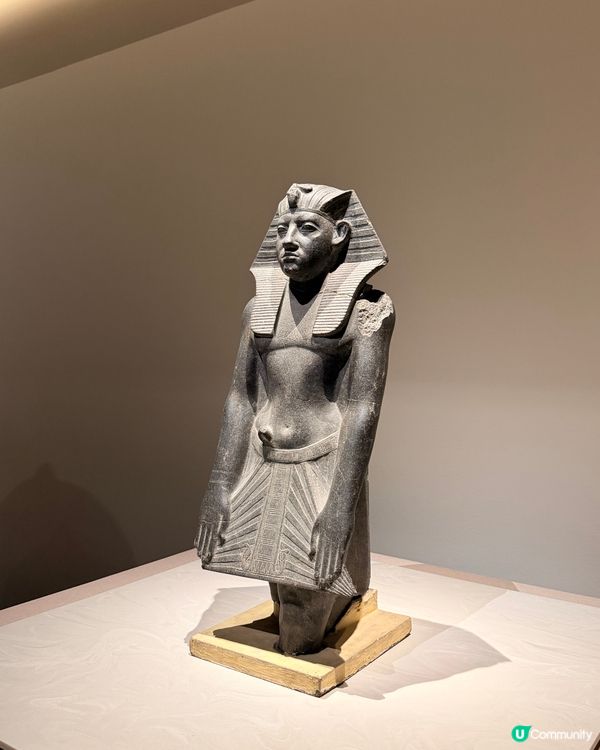 【捉緊埃及的尾巴🇪🇬體質敏感人士注意‼️】