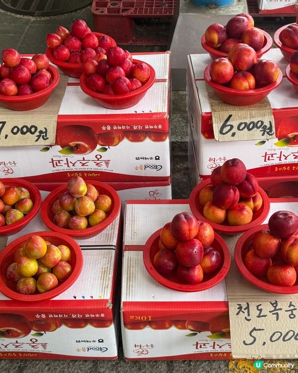 韓國批發市場水果好抵食