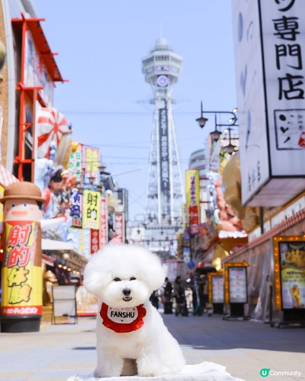 影出漫畫感通天閣❗️ 抽象得嚟超適合行街打卡 📸