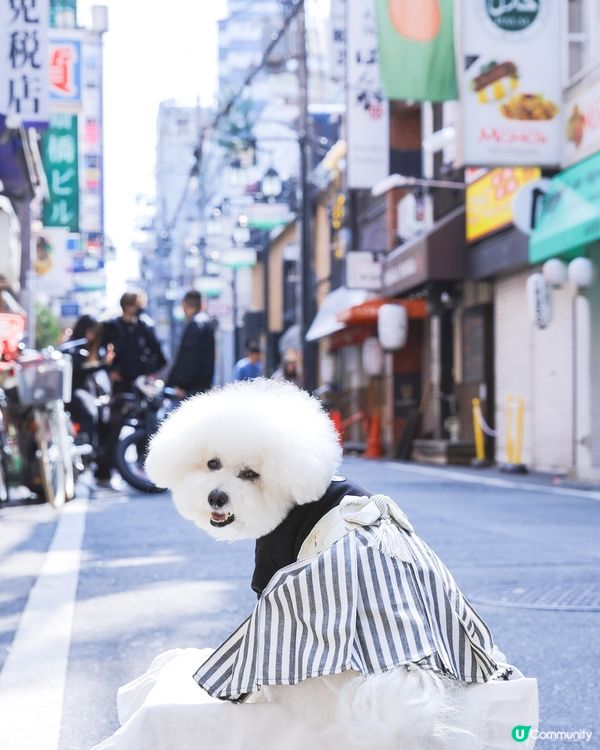👘 大阪街拍:一秒變身極道和服小少爺 🇯🇵