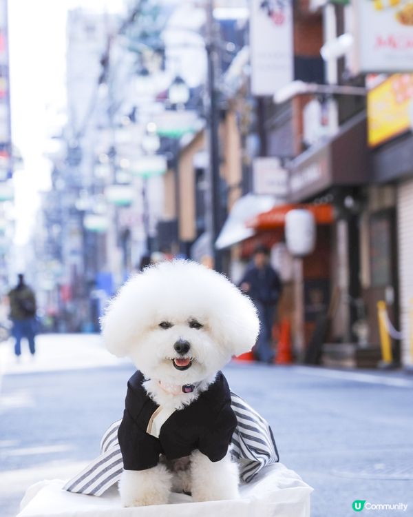 👘 大阪街拍:一秒變身極道和服小少爺 🇯🇵