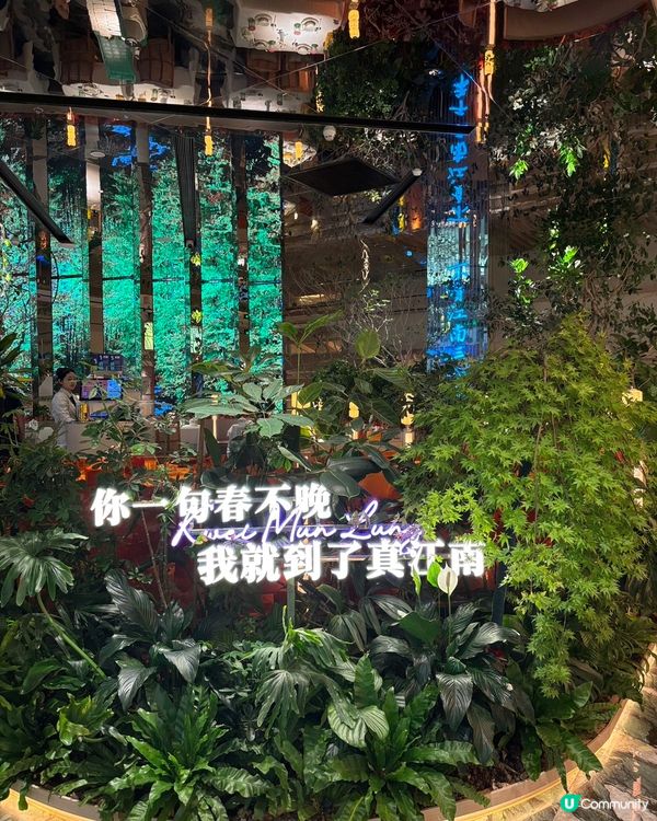 深圳必食高質江南菜🔥中式竹林霧景裝修,