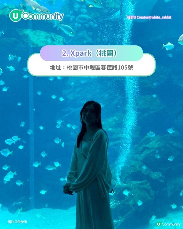 【台灣親子遊】全台7大特色親子樂園推介 台北／台中／花蓮／高雄必玩經典主題樂園