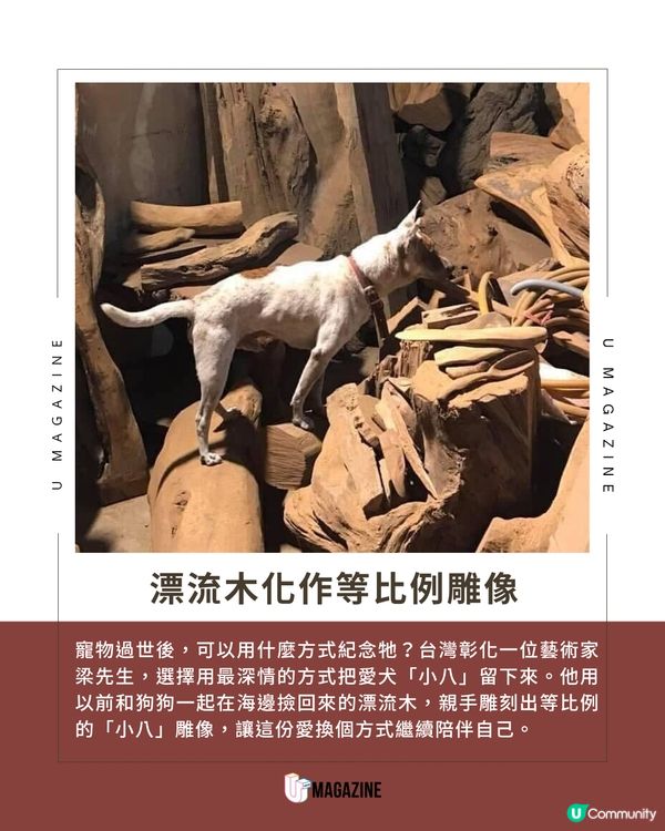用漂流木雕刻去世愛犬 將 14 年的想念變成最溫暖的陪伴                          