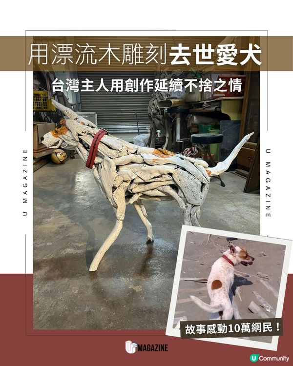 用漂流木雕刻去世愛犬 將 14 年的想念變成最溫暖的陪伴                          