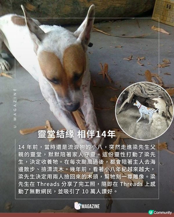 用漂流木雕刻去世愛犬 將 14 年的想念變成最溫暖的陪伴                          