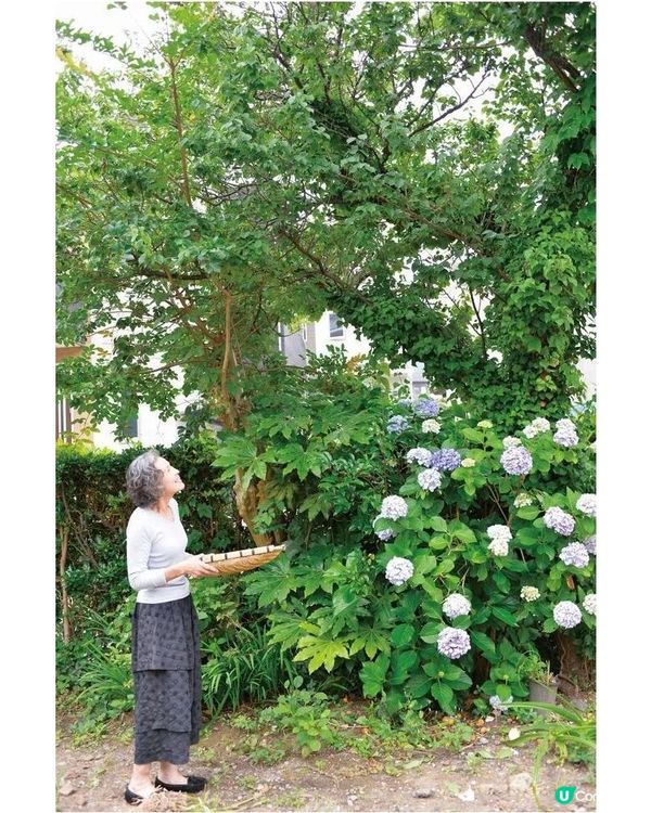 79歲日本主婦將平凡生活過成天花板👩🏻‍🦳每日5點起身做家務🍳網民讚係神仙生活