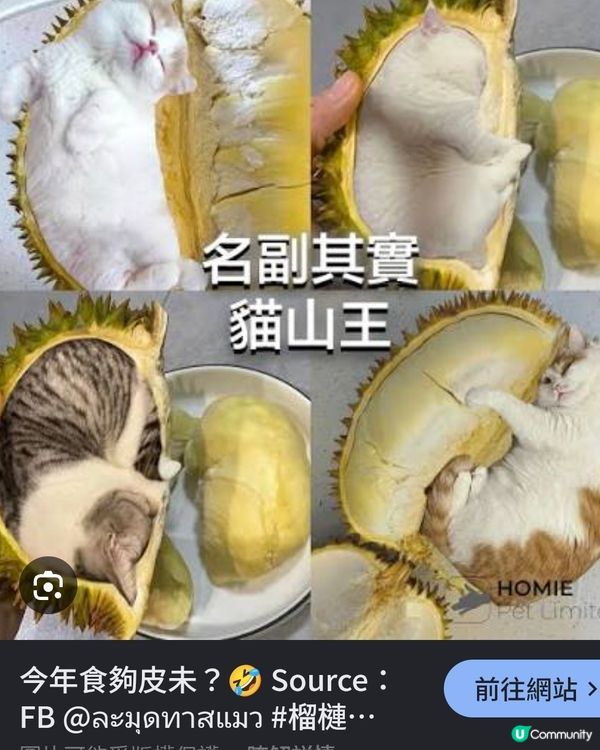 天荒地老榴槤在摩天輪