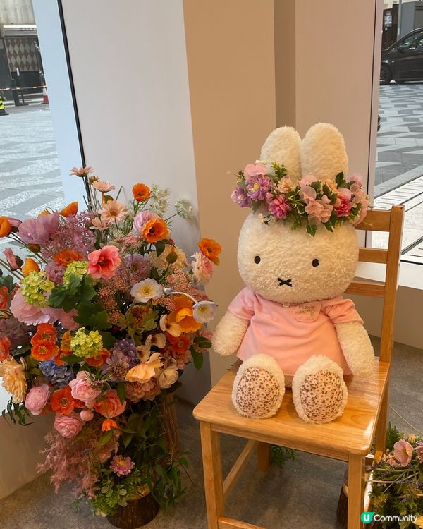 銅鑼灣Flower Miffy Pop Up Store