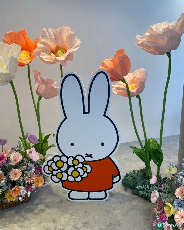 銅鑼灣Flower Miffy Pop Up Store