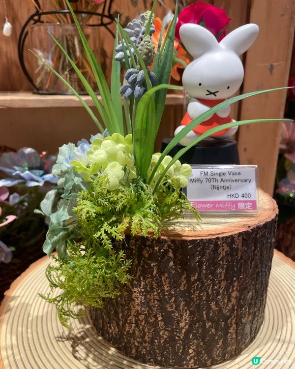 銅鑼灣Flower Miffy Pop Up Store