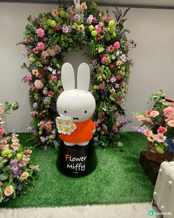 銅鑼灣Flower Miffy Pop Up Store