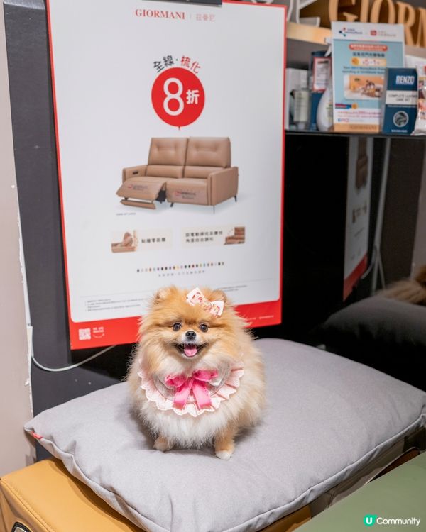 HomeSquare ｢香港家居折2026｣係7月18日開鑼