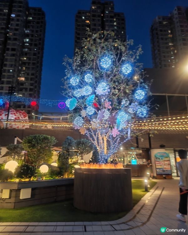 葵芳浪漫燈飾與花海💖🎉🛍️