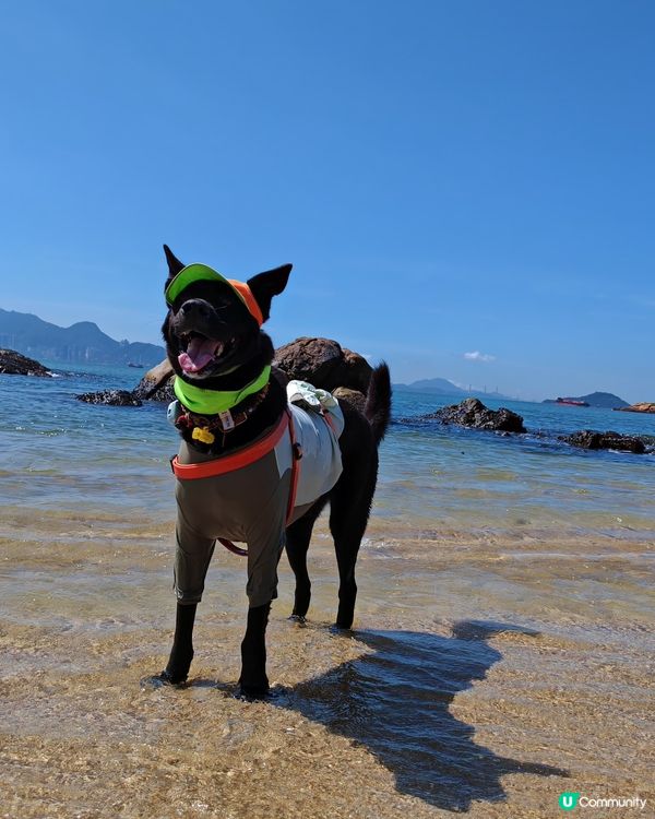☀️馬灣快閃🌞