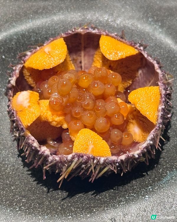 海膽控必試 海膽三食廚師發辦