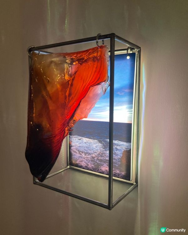 黃竹坑展覽超有驚喜🤩！