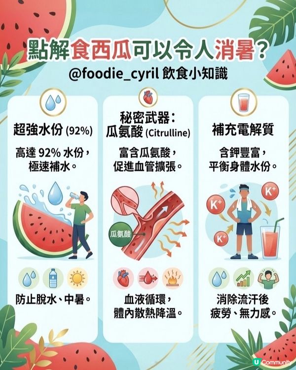 夏天☀️熱到溶，點解食西瓜🍉可以消暑❄️？