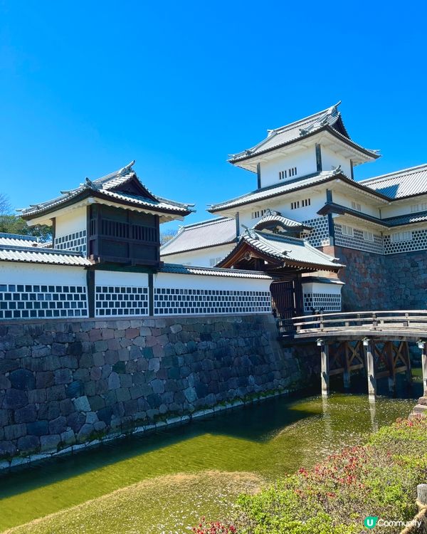 日本百大名城🌸 金澤城賞櫻絕景😍