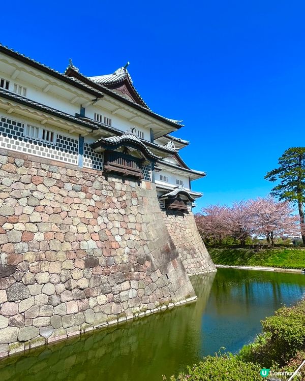 日本百大名城🌸 金澤城賞櫻絕景😍