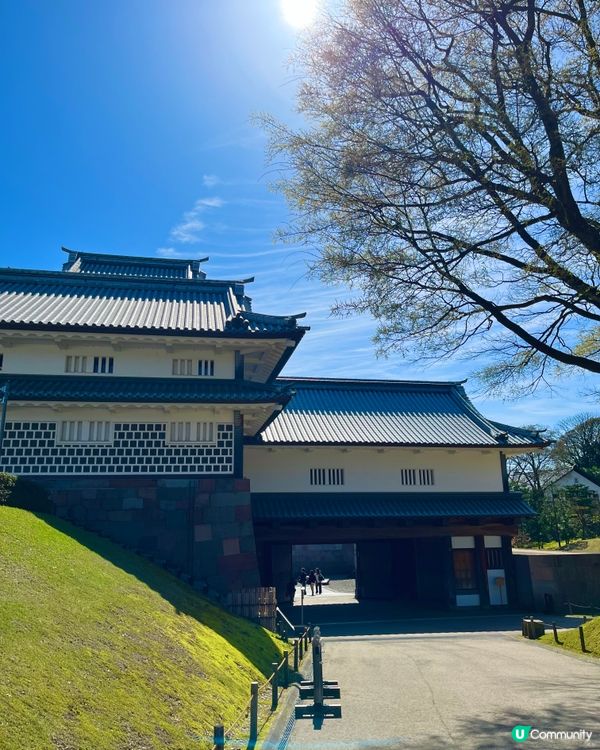 日本百大名城🌸 金澤城賞櫻絕景😍