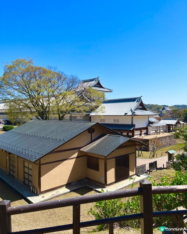 日本百大名城🌸 金澤城賞櫻絕景😍