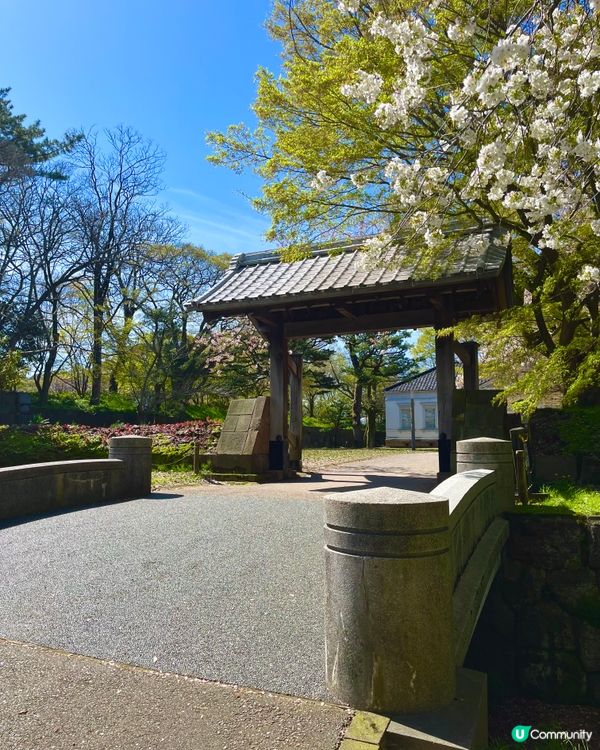 日本百大名城🌸 金澤城賞櫻絕景😍