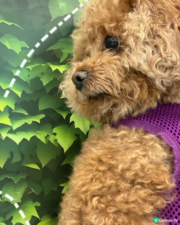 親子時間🐶
