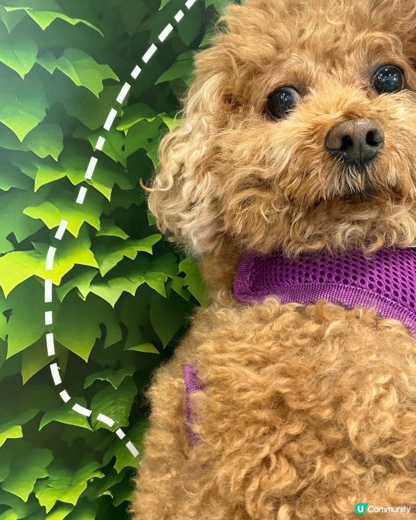 親子時間🐶