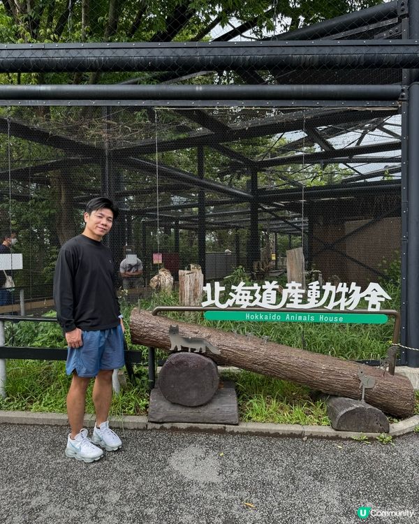 北海道旭山動物園：親子同樂的「行動展示」天堂