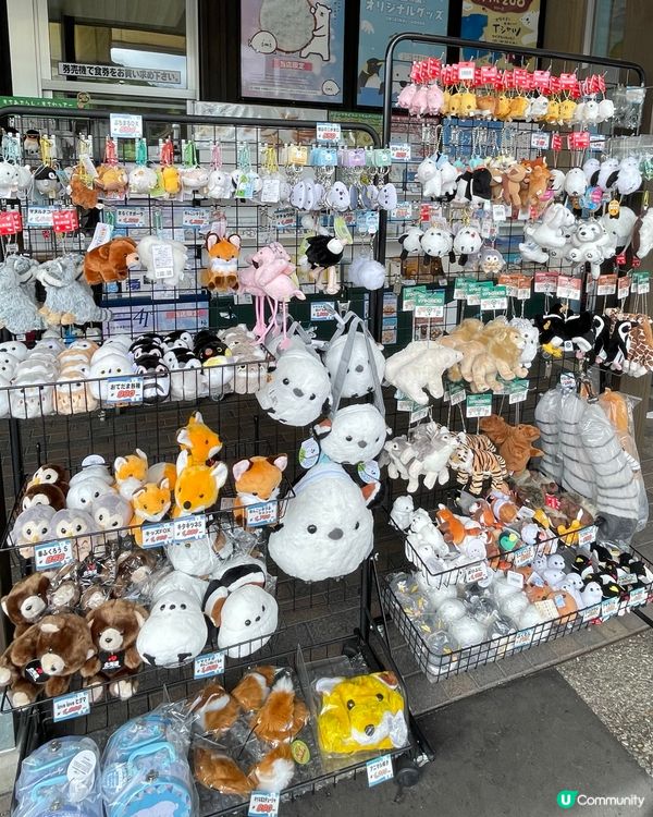 北海道旭山動物園：親子同樂的「行動展示」天堂