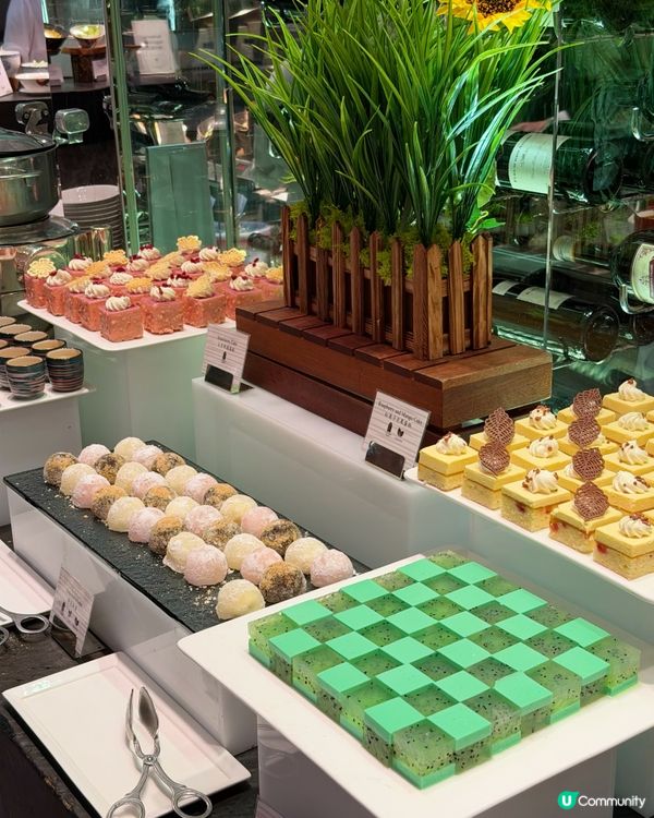 豪食自助餐！尖沙咀必試！😋👍