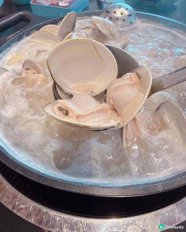 東莞卜卜蜆🤤仲抵食過澳門！