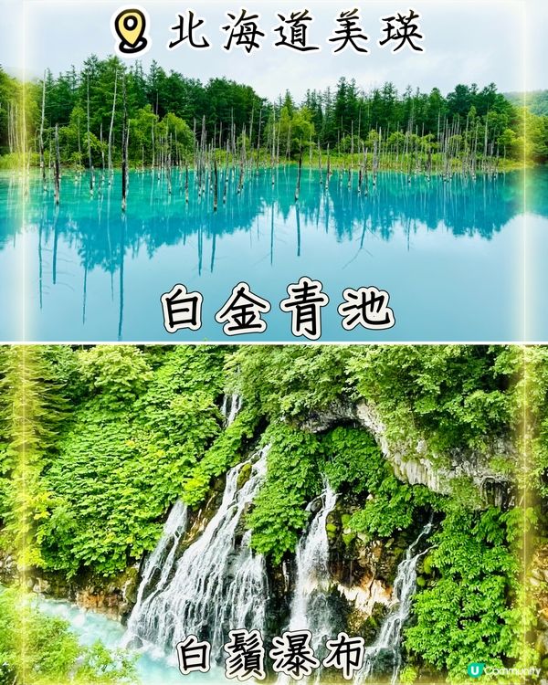 白金青池與白鬚瀑布-感受大自然神奇與夢幻