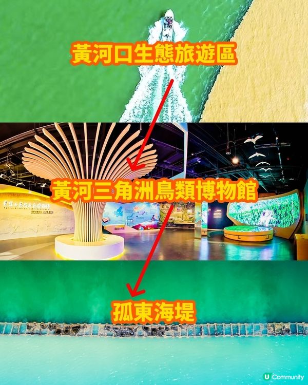 港澳出發來東營，就要這麼玩！