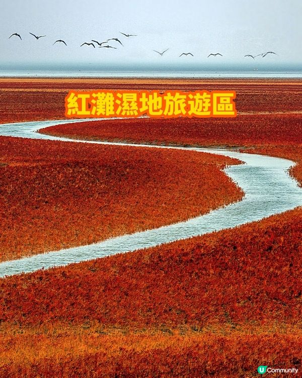 港澳出發來東營，就要這麼玩！