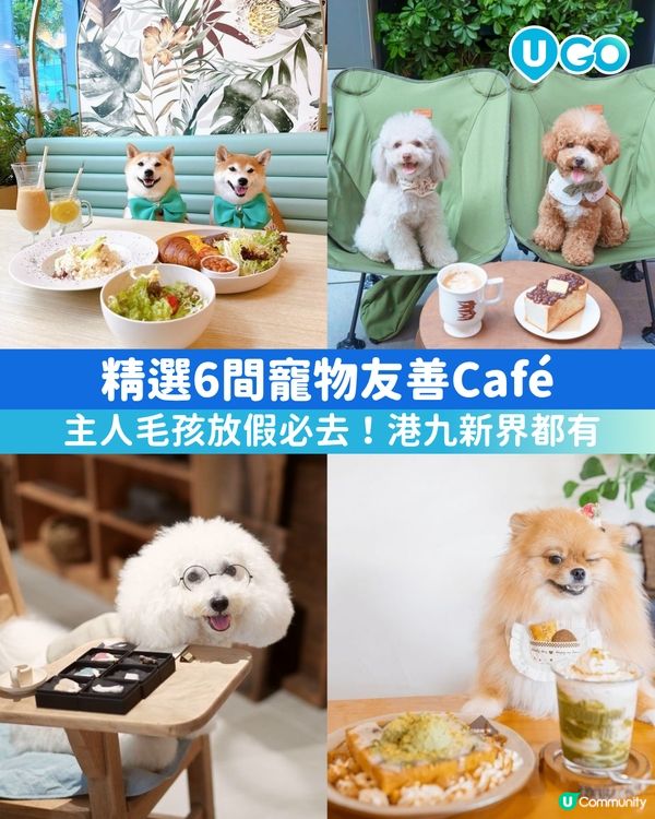 【寵物友善餐廳推介😍】