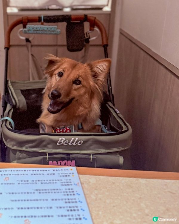 寵物友善餐廳🍴