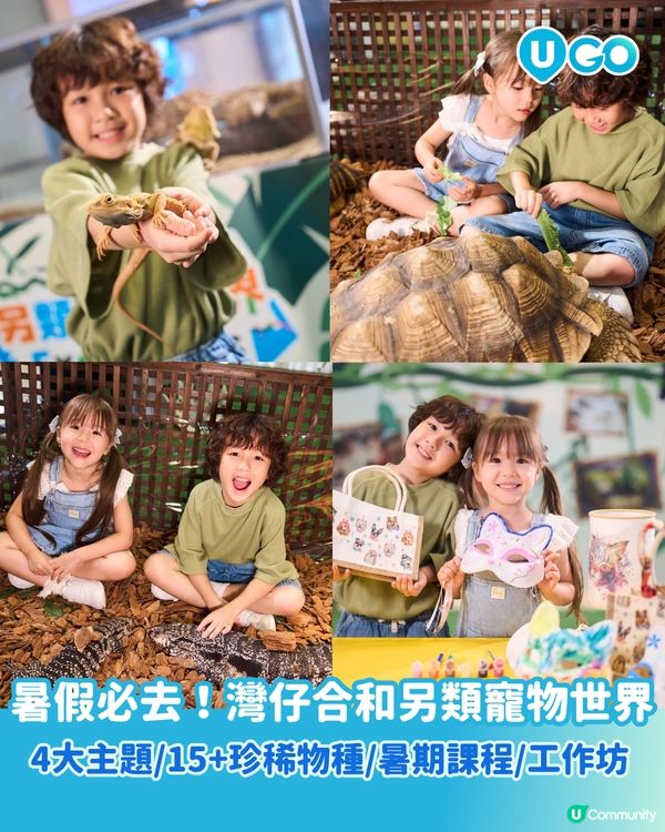 【暑假好去處2026】合和商場「另類寵物世界Exotic Pets World」🦎