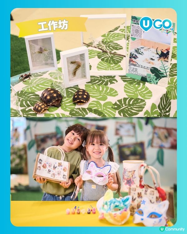 【暑假好去處2026】合和商場「另類寵物世界Exotic Pets World」🦎
