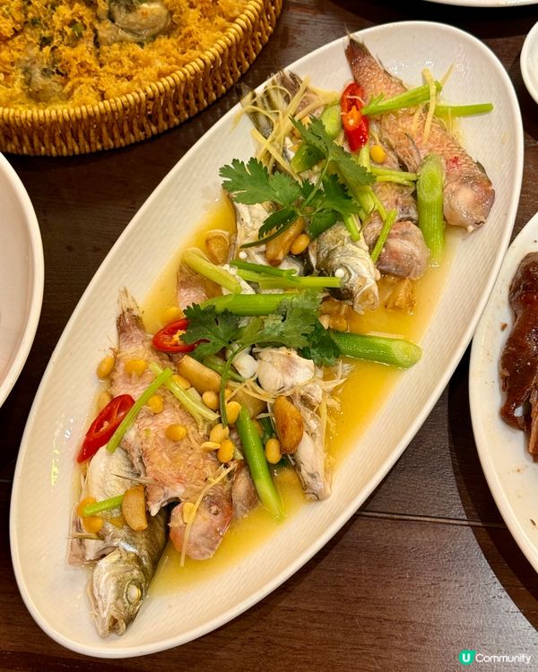 深圳50年老字號！地道潮汕味😋