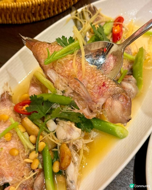 深圳50年老字號！地道潮汕味😋