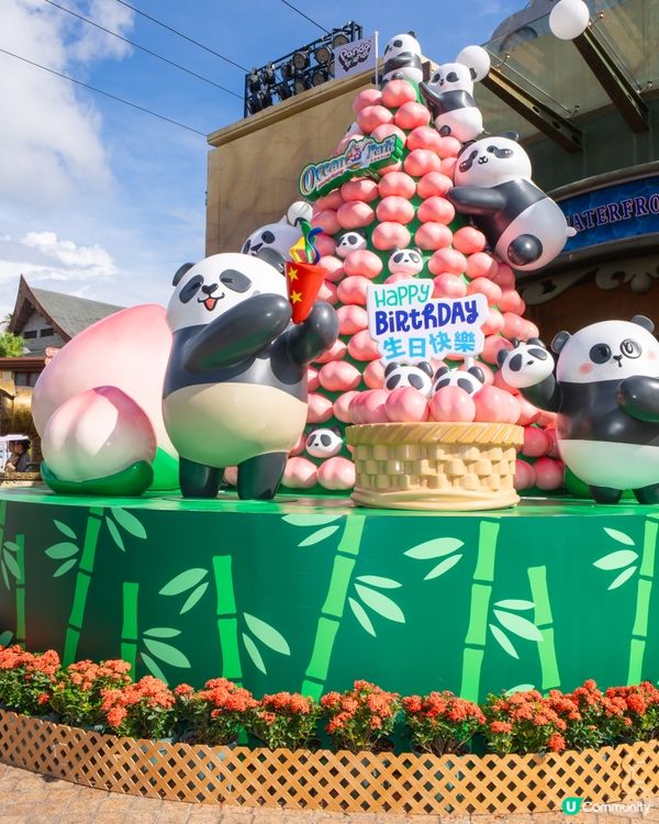 【請您去海洋公園】玩轉夏日大熊貓生日大派對 🐼 🎂！