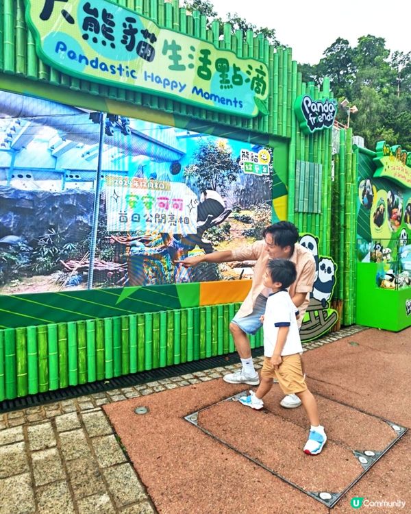 【請您去海洋公園】玩轉夏日大熊貓生日大派對 🐼 🎂！